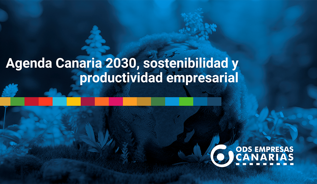 Agenda Canaria 2030, sostenibilidad y productividad empresarial